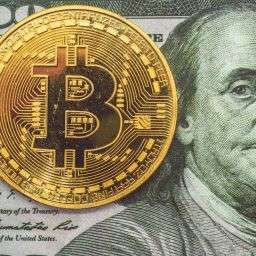 Digital Assets