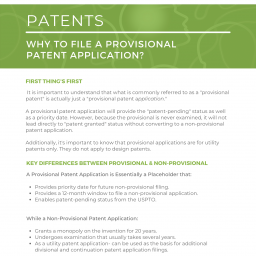 Reasons to File a Provisional Patent Application Guide - Page 01