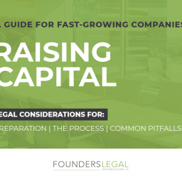 Capital Raise Guide - Page 01