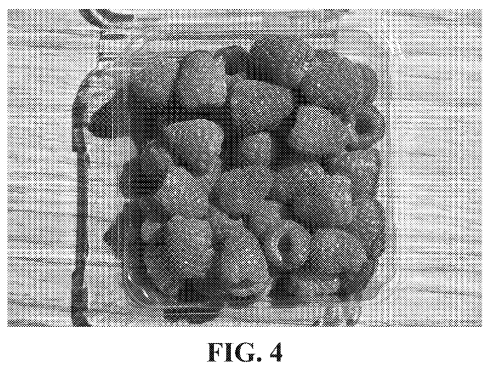 Interesting Patents Red Raspberry Plant Named Finnberry4