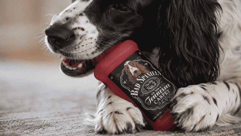 What Trademark Infringement Looks Like and What Brand Owners Should Do Next